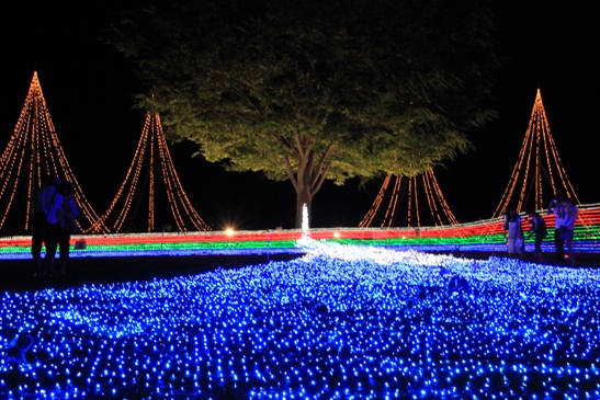 国営越後丘陵公園 日はまた昇る